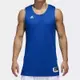 Adidas 球衣 寶藍 白 雙面 籃球服 球衣 透氣 上衣 無袖 背心 CD8691 【S.E運動】