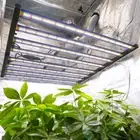 Spider 6500W w/ Samsung LED Grow Light Full Spectrum Commercial Grow CO2 Indoor