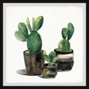 Parvez Taj The Potted Cactus Framed Painting Print 24" x 24"