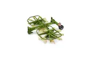 Bruder ABS Krone Dual Rotary Swath Windrower Farm Vehicle 45cm Toy Green 4y+