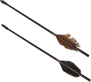 Totority 2Pcs Arrow Traditional Pot Tossing Arrows with Tips for Fun for Parent Bonding and Hand Eye Coordination Games