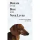 Dream of the Dog with Nine Lives