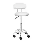 Artiss Salon Stool Swivel Chair Backrest White