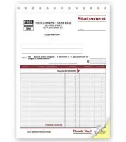 250 Statements - Spectra Carbonless Collection / Nebs Deluxe No. 4506 / 2 Part