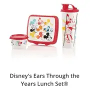 TUPPERWARE DISNEY MICKEY MOUSE LUNCH SET 3 Pc TUMBLER SANDWICH KEEPER SNACK CUP