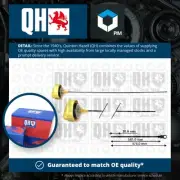Dip Stick fits RENAULT MEGANE Mk3 1.6 2008 on Oil QH 8200344921 8200437000 New