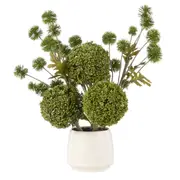 Rogue Allium Pompom Mix Gianna Pot - Green
