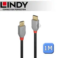 在飛比找PChome24h購物優惠-LINDY 林帝 ANTHRA USB 2.0 Type-C