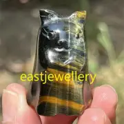 1.4" Natural Tiger’s Eye Jasper Ghost Cat Skull Quartz Crystal Skull Decor 1PC