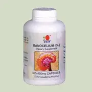 Ganocelium (GL) 100% Ganoderma Mycelium (360)