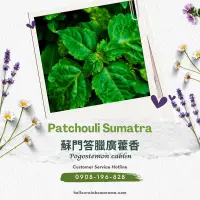 在飛比找蝦皮購物優惠-SC-3611，Patchouli Sumatra，蘇門答臘