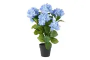 Rogue Hydrangea Plant-Garden Pot Blue 39x40x59cm