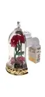 Bath Body Works BELLE ENCHANTED ROSE Nightlight Wallflower Plug Beauty Beast