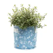 Jardinopia - Eco Pot Beatrix Potter Small Blue, Fabric, Home D?cor