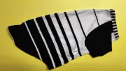 Stylish Black & White Striped T-Shirt for Cats and Small Dogs - SMALL