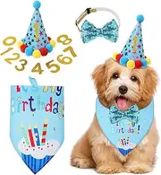 Pet Birthday Party Supplies, Dog Scarf, Hat, Banner, Digital Set, Blue