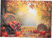iplusmile Backdrop Cloth for Autumn Harvest Festive Fall Decor Easy Maintenance for Parties