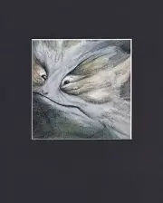 8X10 Matted Print Art Picture Faeries Fairy, Brian Froud: Little Blighter
