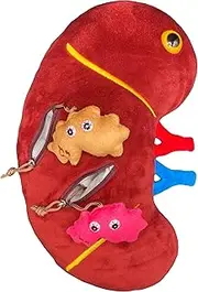 GIANTmicrobes Deluxe 12" Kidney Plush with Kidney Stones, Kidney Stuffed Animal, Kidney Transplant Gifts, Kidney Donor Gifts, Kidney Pillow, Urology Gifts, Nephrology Gifts, Dialysis Nurse Gifts