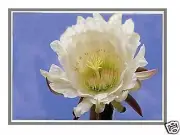 New Display for Chi Mei N144NGE-E41 14.4" SWXGA Laptop LCD LED Screen