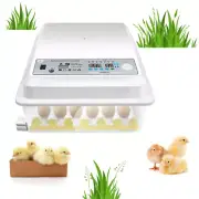 24/36/64 Egg Incubator Fully Automatic Egg Turning Hatcher Quail Chicken Duck AU