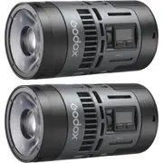 Godox RS60BI Bi-Colour LED Light 2 Light Kit