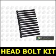 Head Bolt Kit Fits Renault MODUS THALIA TWINGO I II 1.2 C06 CN0 F/JP0 LB 4533KB