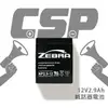 【CSP】NP2.9-12 鉛酸電池12V2.9AH/UPS不斷電系統/應急電源/應急供電系統/應急照明/消防等供電場合