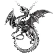 Dragon Necklace The Whitby Wyrm Pendant by Alchemy Gothic P323 Women's Men's