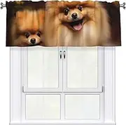 LHBWCVN Yellow Pomeranian Valances for Windows, Rod Pocket Window Treatment Drapes Farmhouse Kitchen Curtains Short Blackout Window Curtains for Living Room Bedroom Decor 54x18 Inch