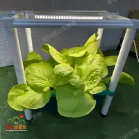 在飛比找momo購物網優惠-【田園樂】育材室內栽培箱含植物燈45*30*52cm(育苗/