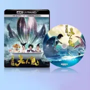 Chinese Drama mei ren yu Chinese English Sub 4K Blu-ray boxed 美人鱼