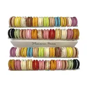 French Macaron Assorted Gift Box, 48-Pack
