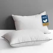 Goose Feather down Core Pillow Surrounded by Polyester 2 Pack, 100% Organic Cott