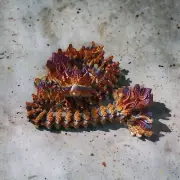 Lunar Dragon, 3d print, Moon dragon, Planet lover, Mythical Creature, Gift