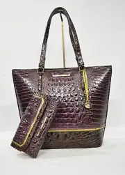 SET of Brahmin Asher Leather Tote + Checkbook Wallet in Fig Chappell