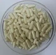 Bromelain 3000 GDU/GM Capsules highest natural potency of proteolytic Enzyme