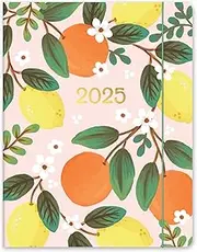 2025 Planner - Daily, Weekly and Monthly Planner 2024-2025, Orange Circle Studio 17 Month Calendar, July 2024-December 2025, Ideal for Home Office - Just Right Monthly Planner Fruit & Flora Print