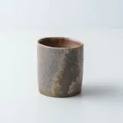 Terazono Shohta Bizen ware Free Cup S Kiln Variation 02 From Japan