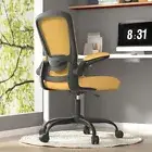 Office Chair, Ergonomic Desk Chair with Adjustable Lumbar Support