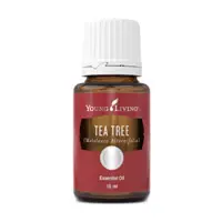 在飛比找蝦皮購物優惠-悠樂芳young living 茶樹15ml