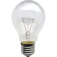 在飛比找蝦皮購物優惠-白熾燈泡,燈絲燈泡 25W, 40W, 60W, 100W 