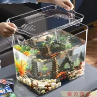 在飛比找蝦皮購物優惠-台灣出貨 魚缸造景 六角恐龍缸高清透明塑料亞克力魚缸一體成型