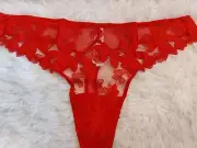 NWT Victoria's Secret Very Sexy Satin Ziggy Glam Floral Embroidery Thong Sm (D7)
