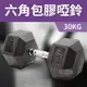 【ABSport】包膠高質感六角啞鈴30KG(單支)/整體啞鈴/重量啞鈴/重量訓練