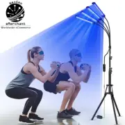4-Head Tanning Lamp 60W 432 LED 360° Adjustable Blue Light Home Solarium