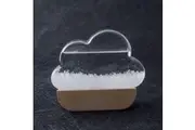 Fitzroy's Storm Glass Cloud Heebie Jeebies