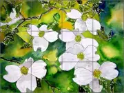 Ceramic Tile Mural Backsplash McCrea Dogwood Tree Flower Art DMA041