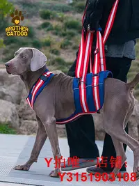 在飛比找Yahoo!奇摩拍賣優惠-老年狗輔助帶高齡犬助力帶狗狗四肢無力后腿行走寵物胸背帶