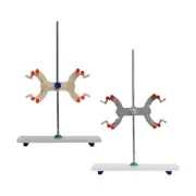 Lab Iron Stand Sturdy Titration Clip for Homework Classroom Children